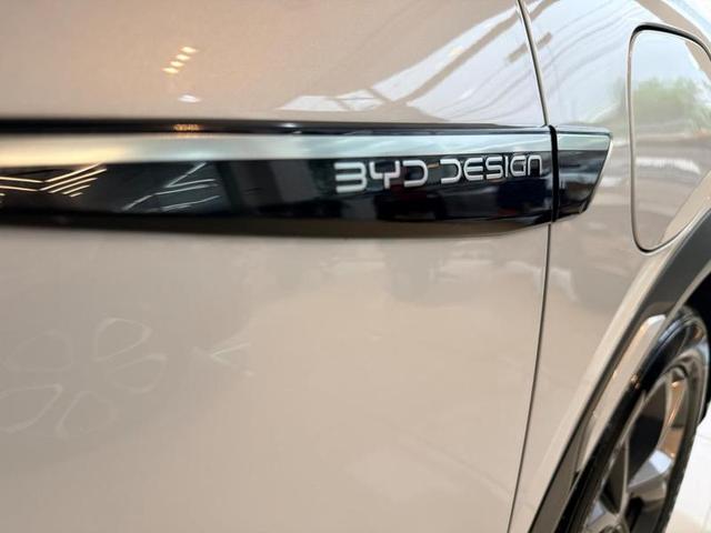 Foto número 186052 do veiculo